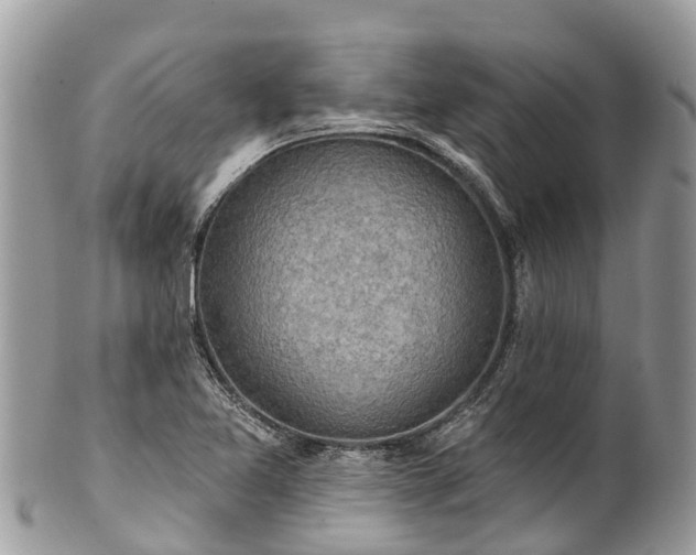 X0000101181365200807071235