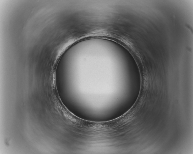 X0000101181366200807071235