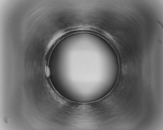 X0000101181368200807071235