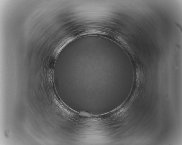 X0000101181369200807071235