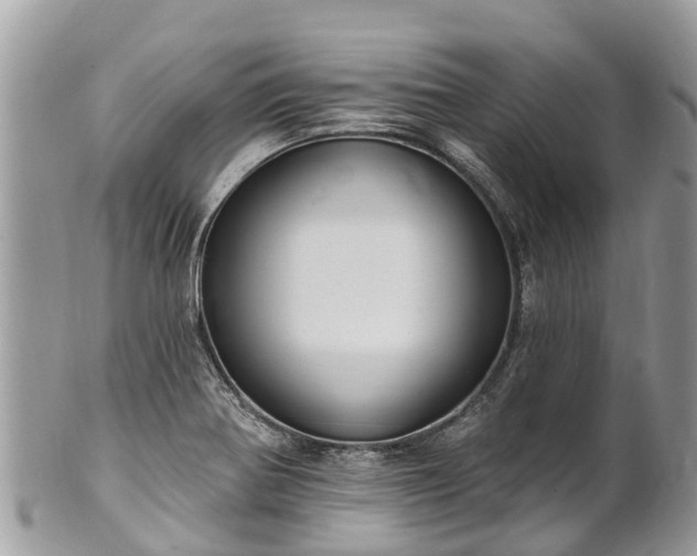 X0000101181370200807071235