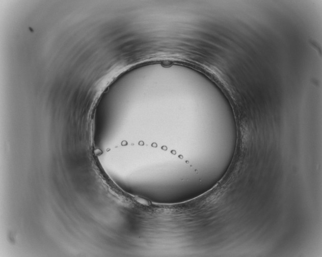 X0000101181371200807071235