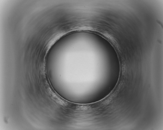 X0000101181374200807071235
