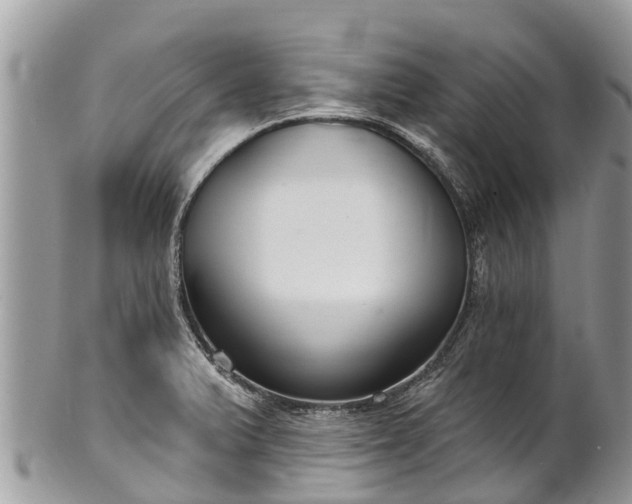 X0000101181375200807071235