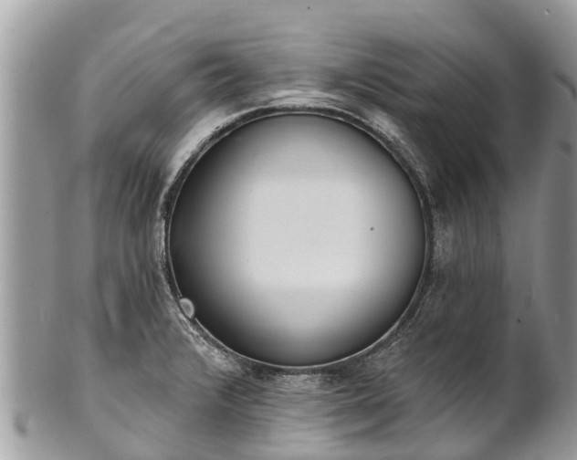 X0000101181376200807071235