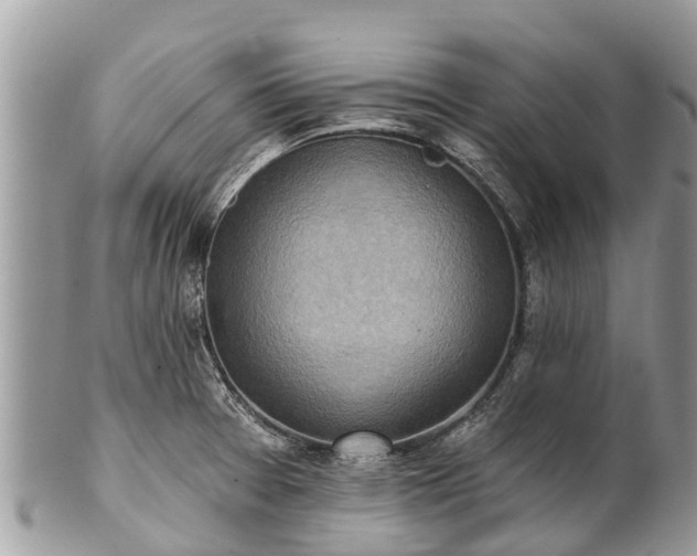 X0000101181377200807071235