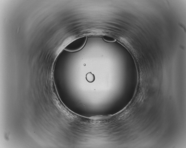X0000101181378200807071235