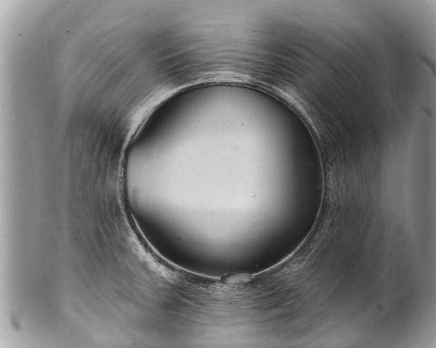 X0000101181379200807071235