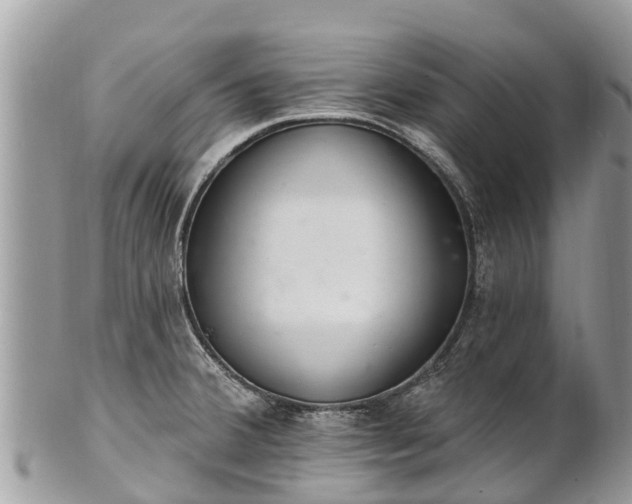 X0000101181380200807071235