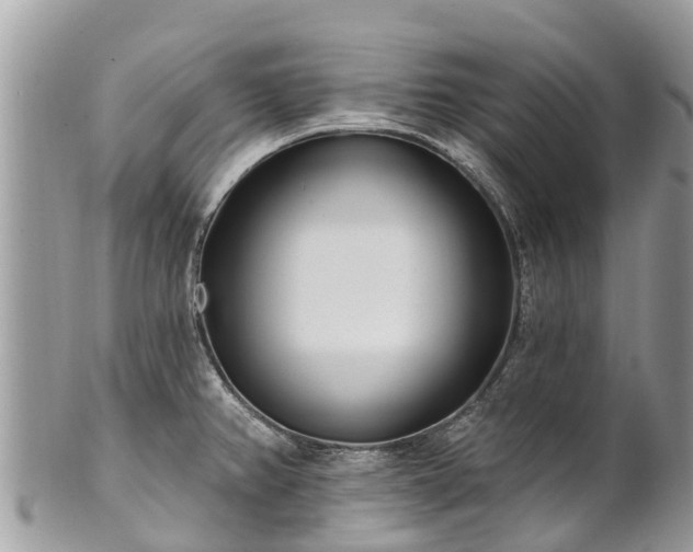 X0000101181382200807071235