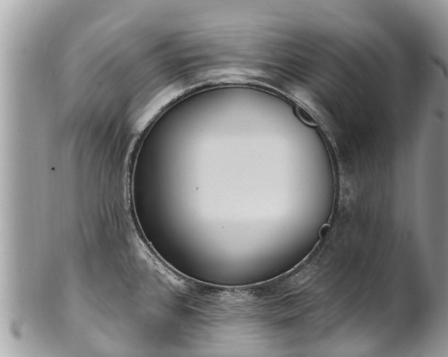 X0000101181384200807071235