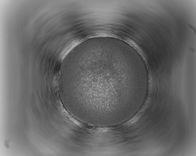 X0000101181385200807071235