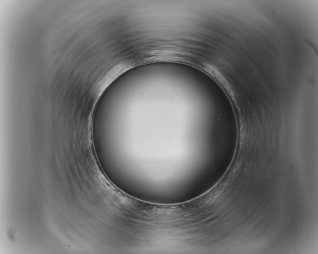 X0000101181386200807071235