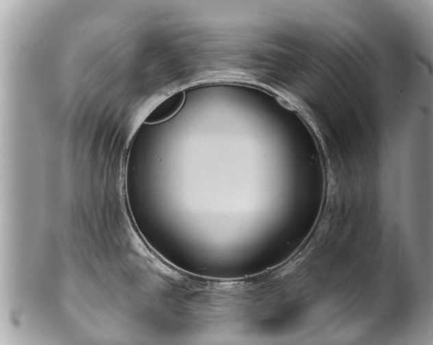 X0000101181390200807071235