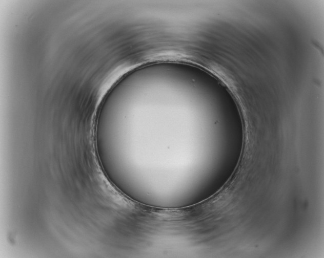 X0000101181392200807071235