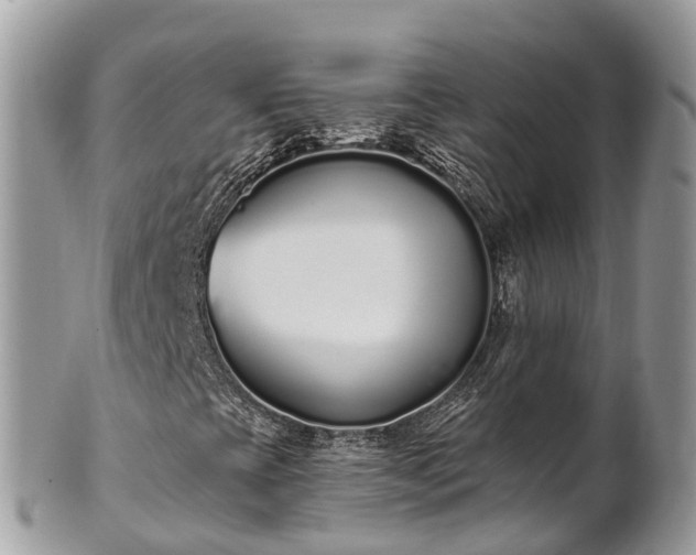 X0000101181393200807071234