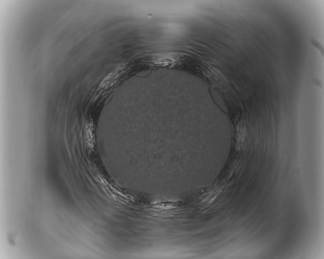 X0000101181394200807071234