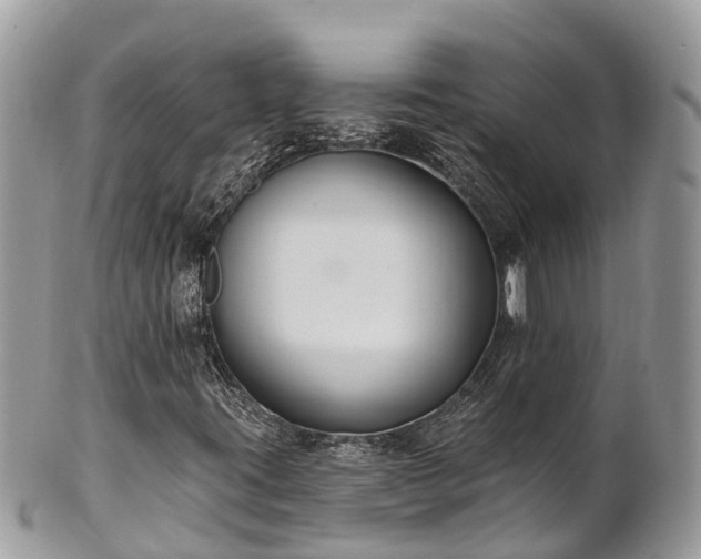 X0000101181395200807071234