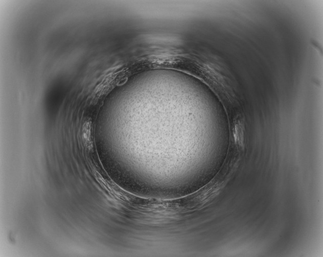 X0000101181396200807071234