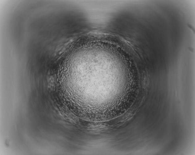 X0000101181397200807071234