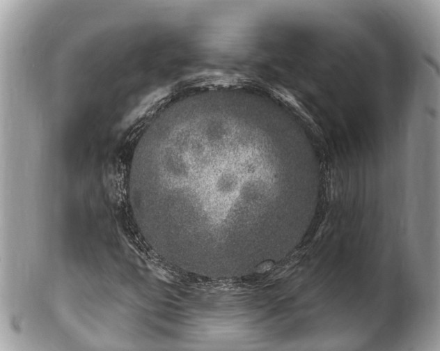 X0000101181399200807071234