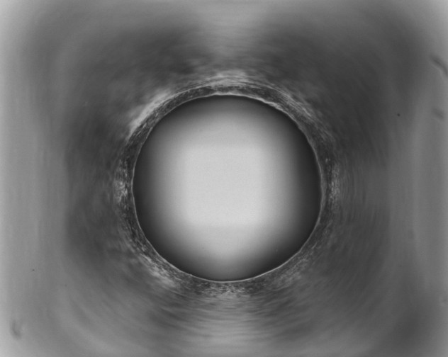 X0000101181400200807071234