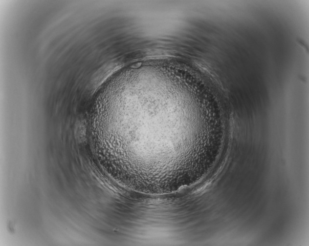 X0000101181401200807071234