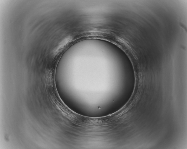 X0000101181403200807071234