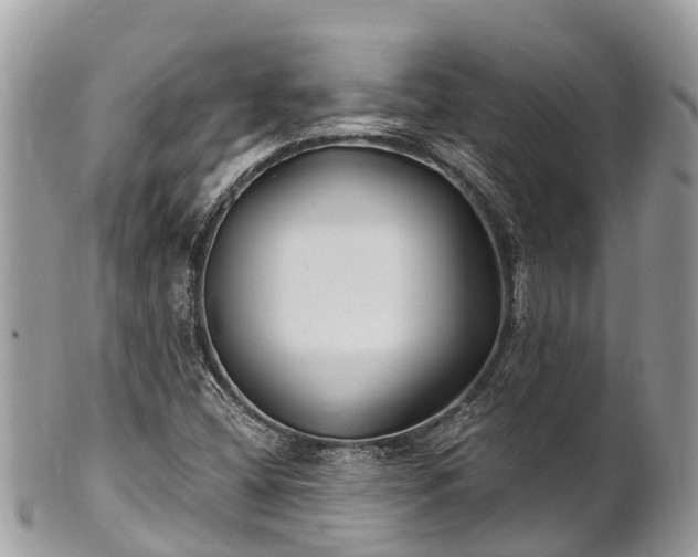 X0000101181404200807071234