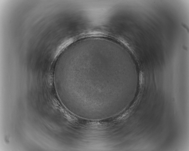 X0000101181405200807071234