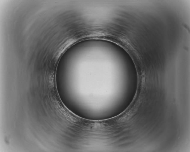 X0000101181409200807071234