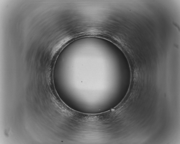 X0000101181410200807071234