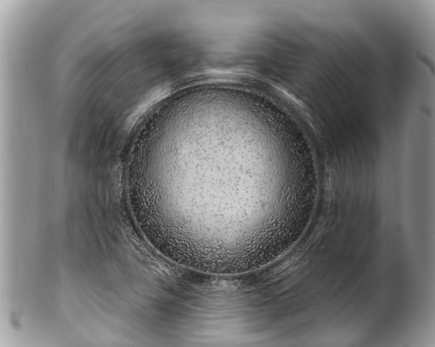 X0000101181411200807071234