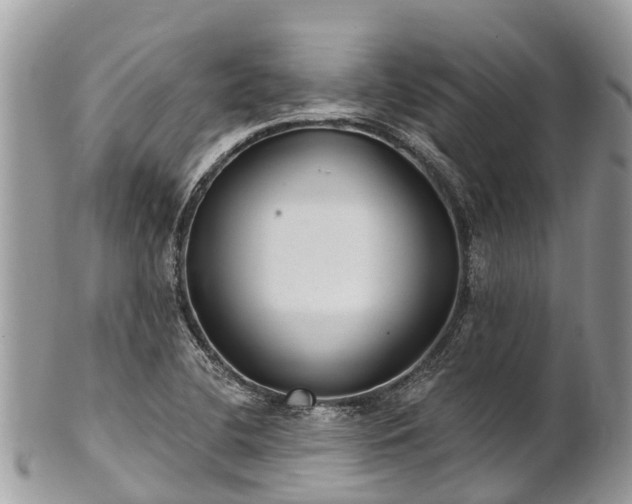 X0000101181412200807071234