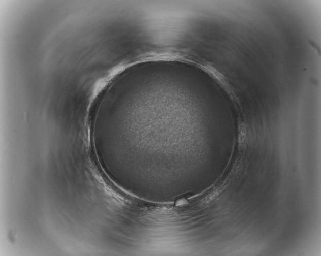 X0000101181414200807071234