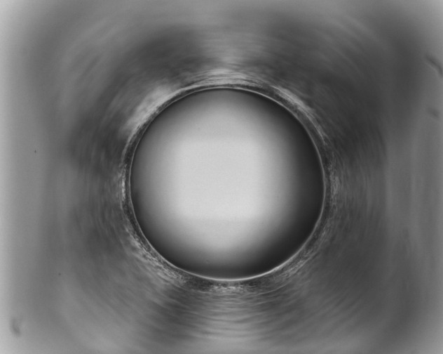 X0000101181415200807071234