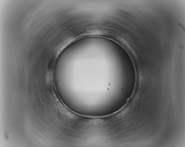 X0000101181417200807071234