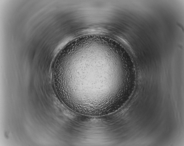 X0000101181419200807071234