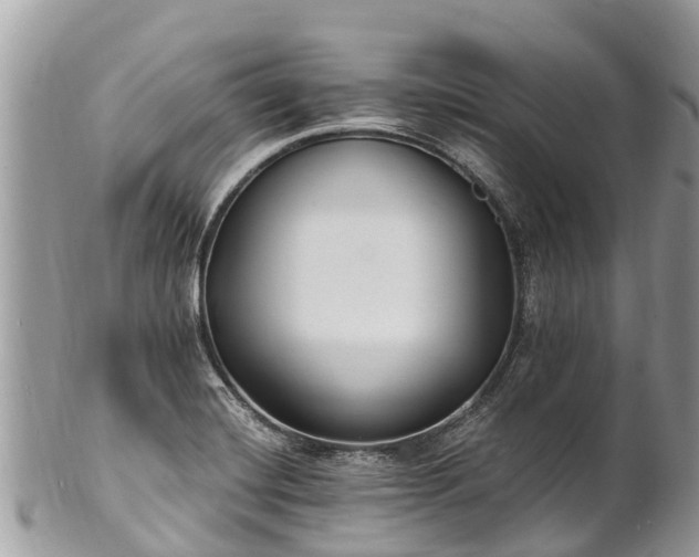 X0000101181420200807071234