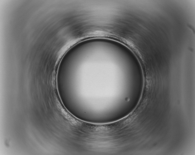 X0000101181421200807071234