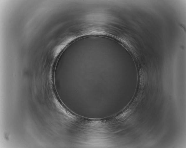 X0000101181422200807071234