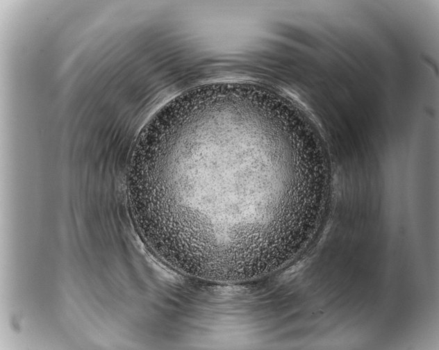 X0000101181425200807071234