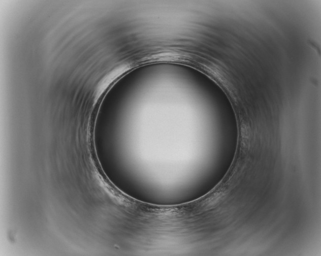 X0000101181426200807071234