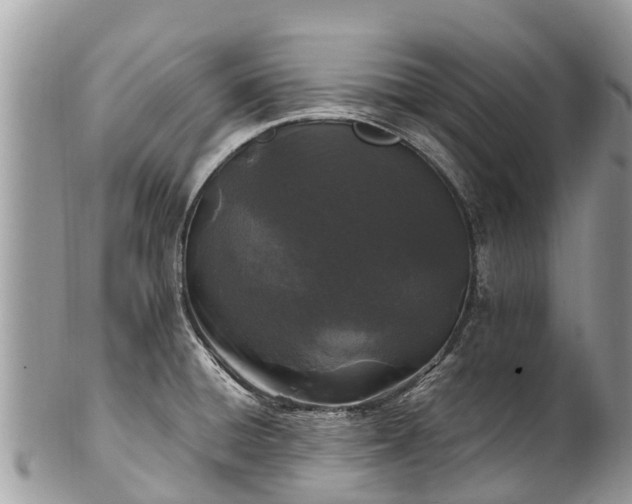 X0000101181428200807071234