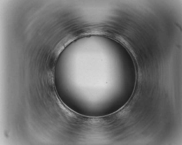 X0000101181433200807071235