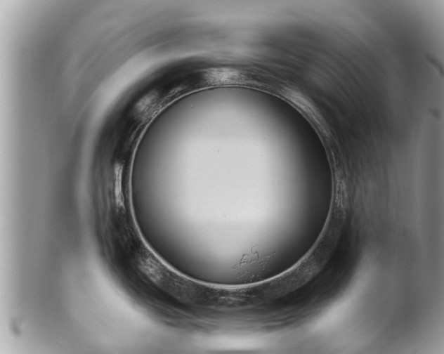X0000101181439200807071235
