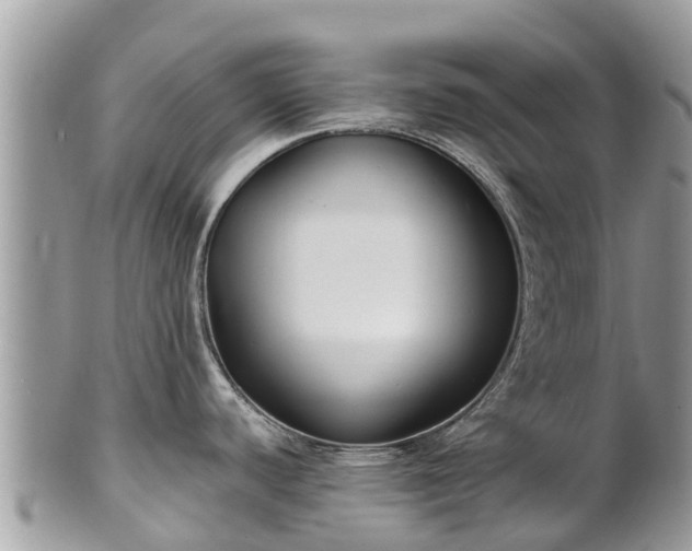 X0000101181440200807071235