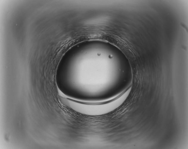 X0000101181441200807071234