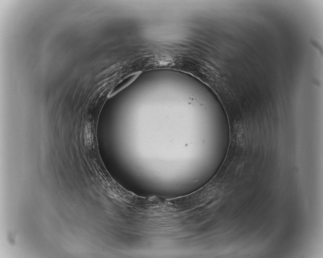 X0000101181442200807071234