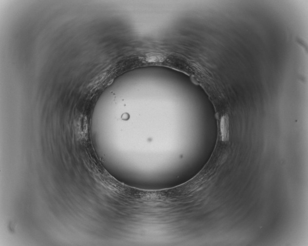 X0000101181443200807071234